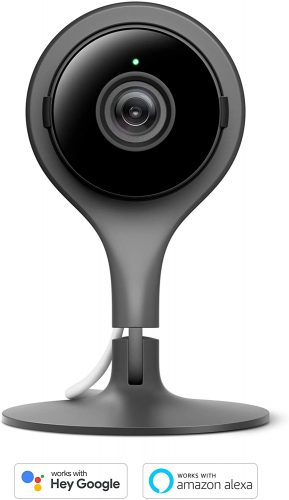 Google Nest IP Cameras 